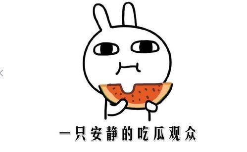 吃瓜热门事件网,吃瓜热门事件背后的真相与反思