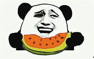 吃瓜叫吃瓜子,吃瓜升级,尽享瓜子盛宴