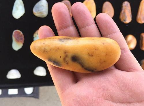 沧海月明吃瓜沁沁,揭秘娱乐圈的甜蜜与苦涩