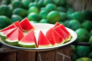 立秋吃瓜图片,探寻传统习俗中的美食风情