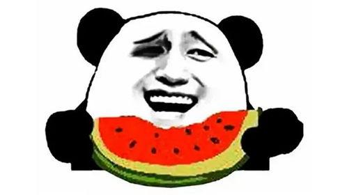 不吃饭就是吃瓜,尽享瓜田乐趣