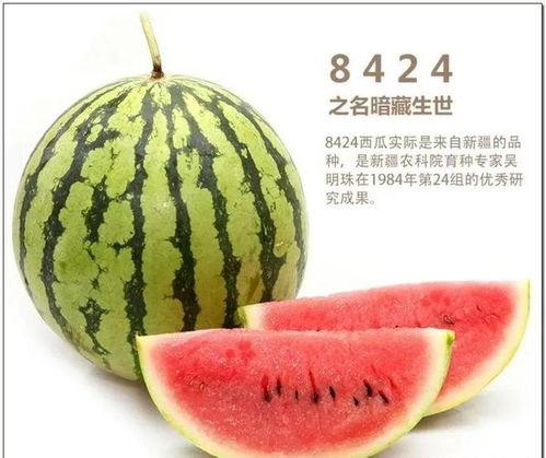 低频吃瓜脑子吃出泡了,揭秘“脑子吃出泡”的神奇现象