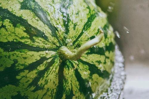 下水吃瓜,揭秘吃瓜背后的趣味与智慧