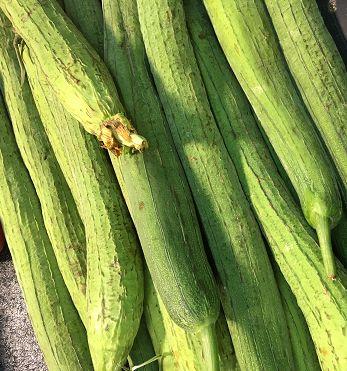 根瓜如何吃,解锁健康美味新体验