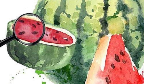 吃瓜之下,吃瓜群众视角下的娱乐圈风云录