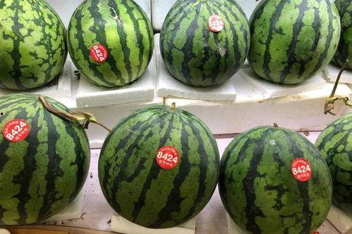 日料吃瓜,一场味蕾与视觉的盛宴