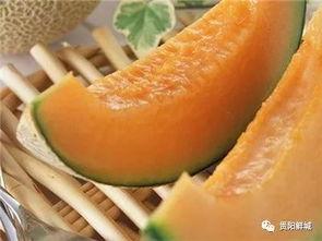 吃瓜只吃哈密瓜